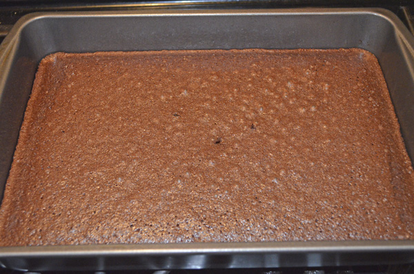 Chocolate Covered Brownies