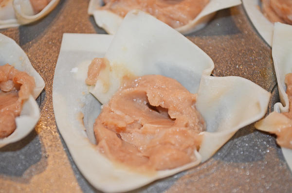 Nacho Wontons