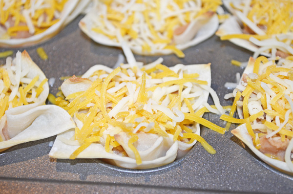 Nacho Wontons