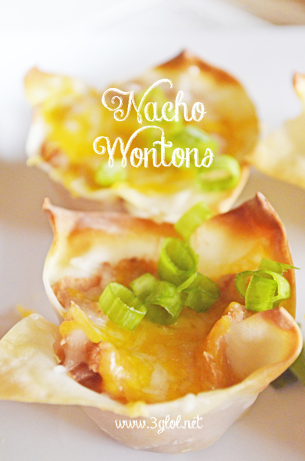 Nacho Wontons 