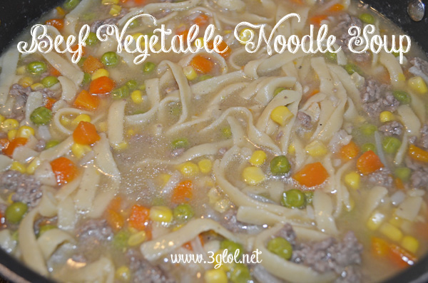 Beef Vegetable Noodle Soup