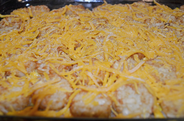 Cowboy Casserole by 3GLOL.net