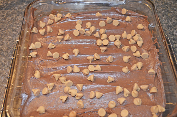 Double Chocolate Peanut Butter Brownies by 3GLOL.net