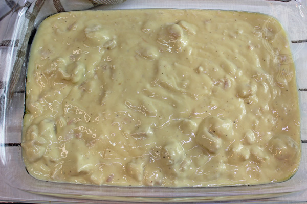 Soup and chicken mixture poured into the baking dish.