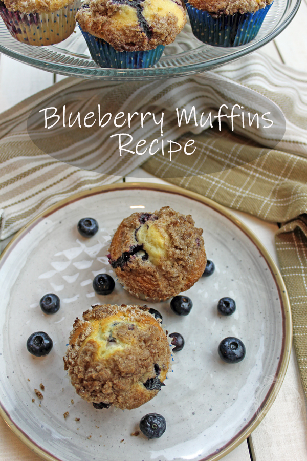 Overhead view of 2 blueberry muffins on a plate with fresh blueberries surrounding them.