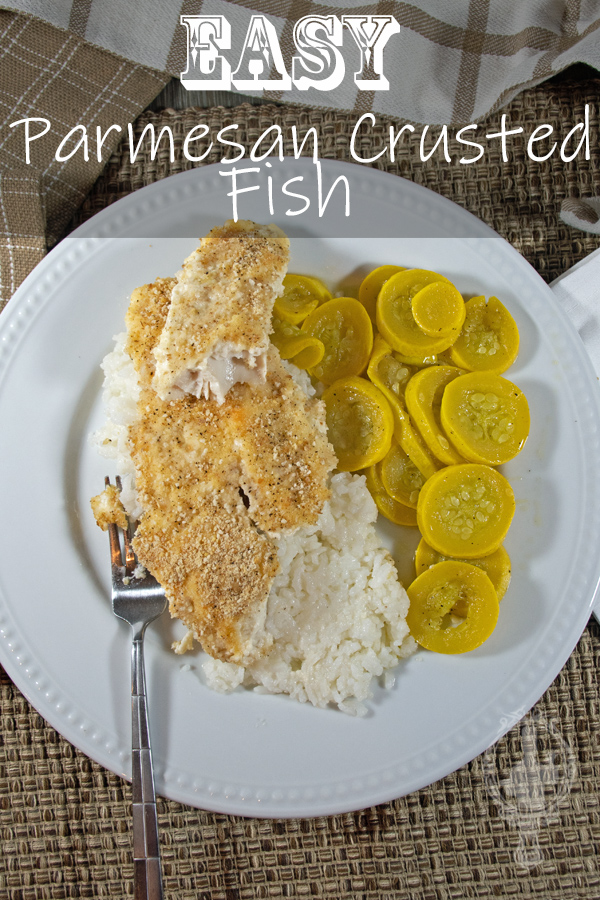 Overhead view of Parmesan Crusted Tilapia with sauteed squash on the side.