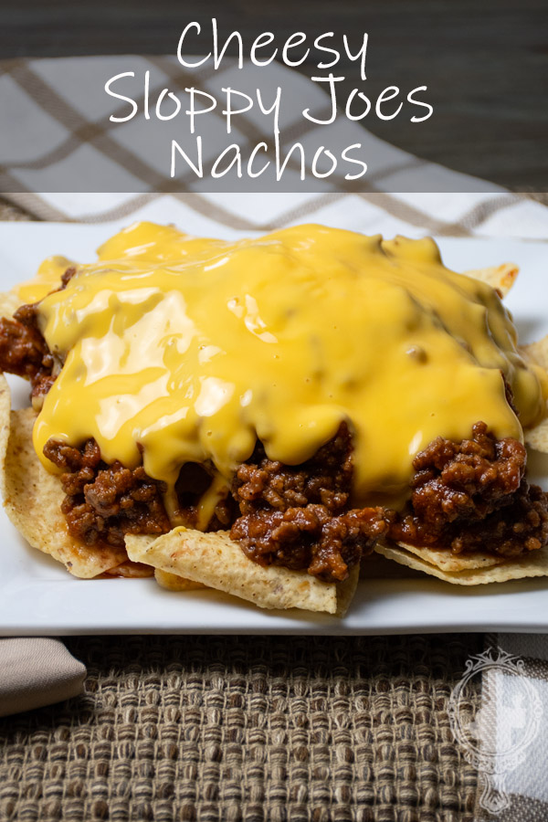 Direct view of Sloppy Joes Nachos