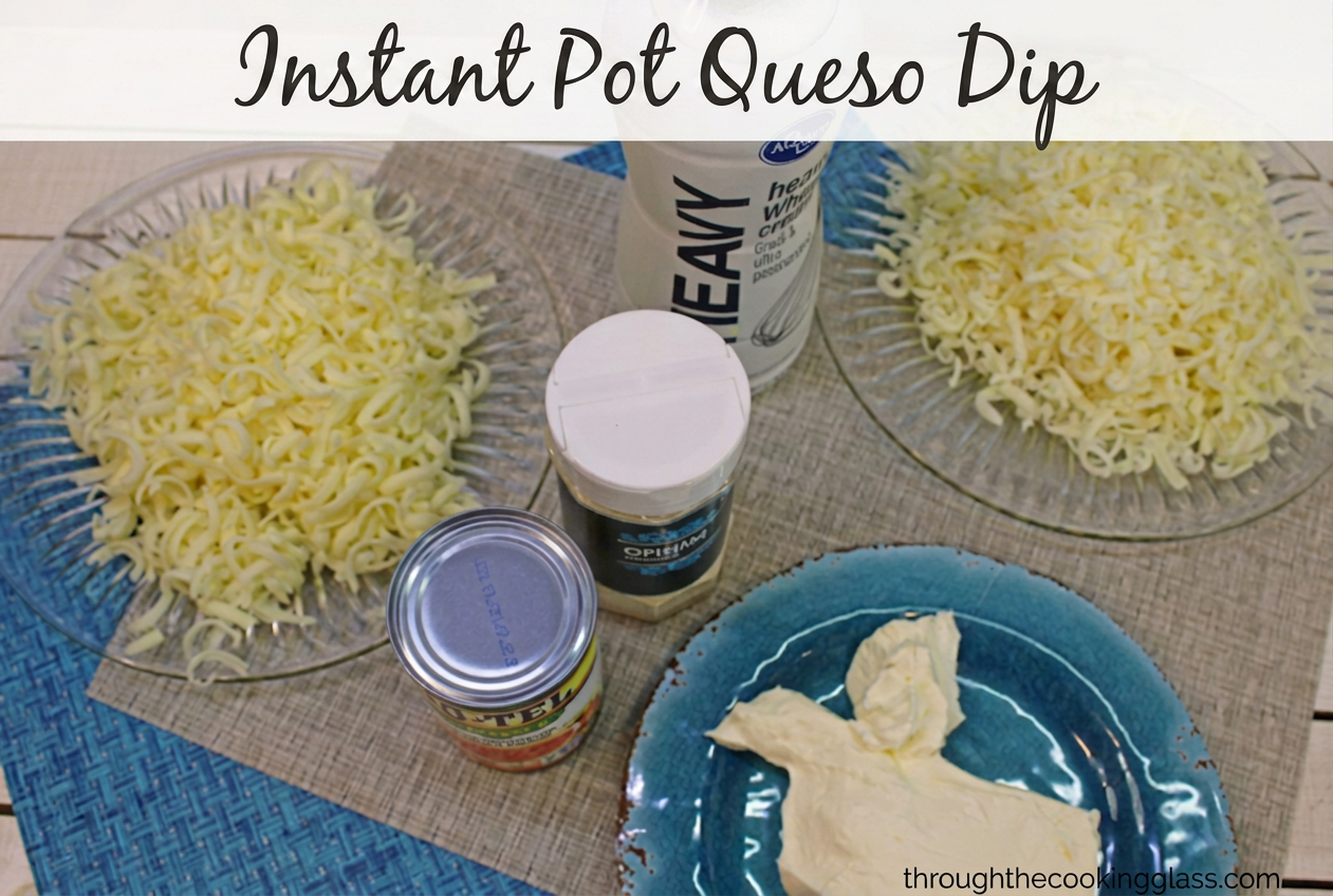 Instant Pot Queso Ingredients used in Instant Pot Queso